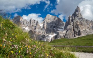 Trentino montagne e prati foto di Alessandro da Pixabay alexvi82